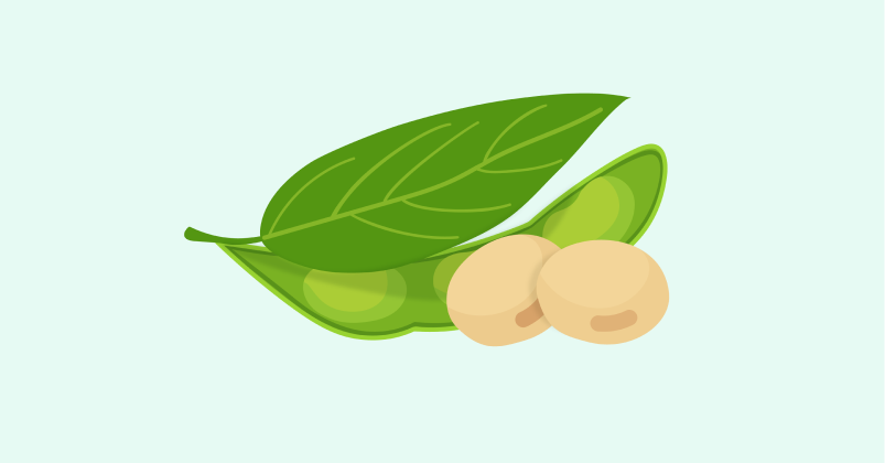 Soybean